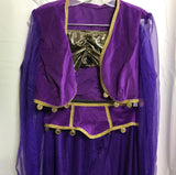 COSTUME Purple Gypsy Belly Dancer Costume Ladies M