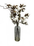 Cotton Branch Decor Real Cotton Buds Attached to Branches With Glass Bottle