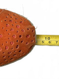 TOMS Orange Perforated Suede Lace-Up Wedge Ankle Boots Women's 7.5