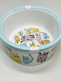 Mixed Pet Bowl Set - Stainless Steel and Ceramic Cat Bowls